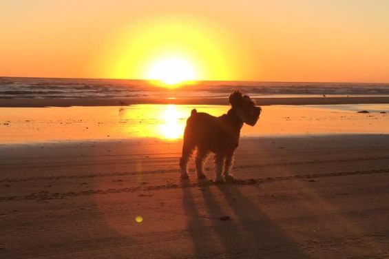 Sunset at Baylys Beach
